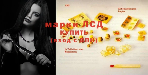 a pvp Алзамай