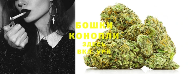 твердый Киров